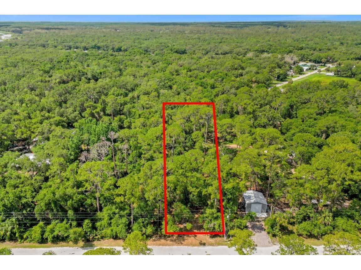 Mar Lisa Cove Road Lake Wales FL 33898 T3452817 image14