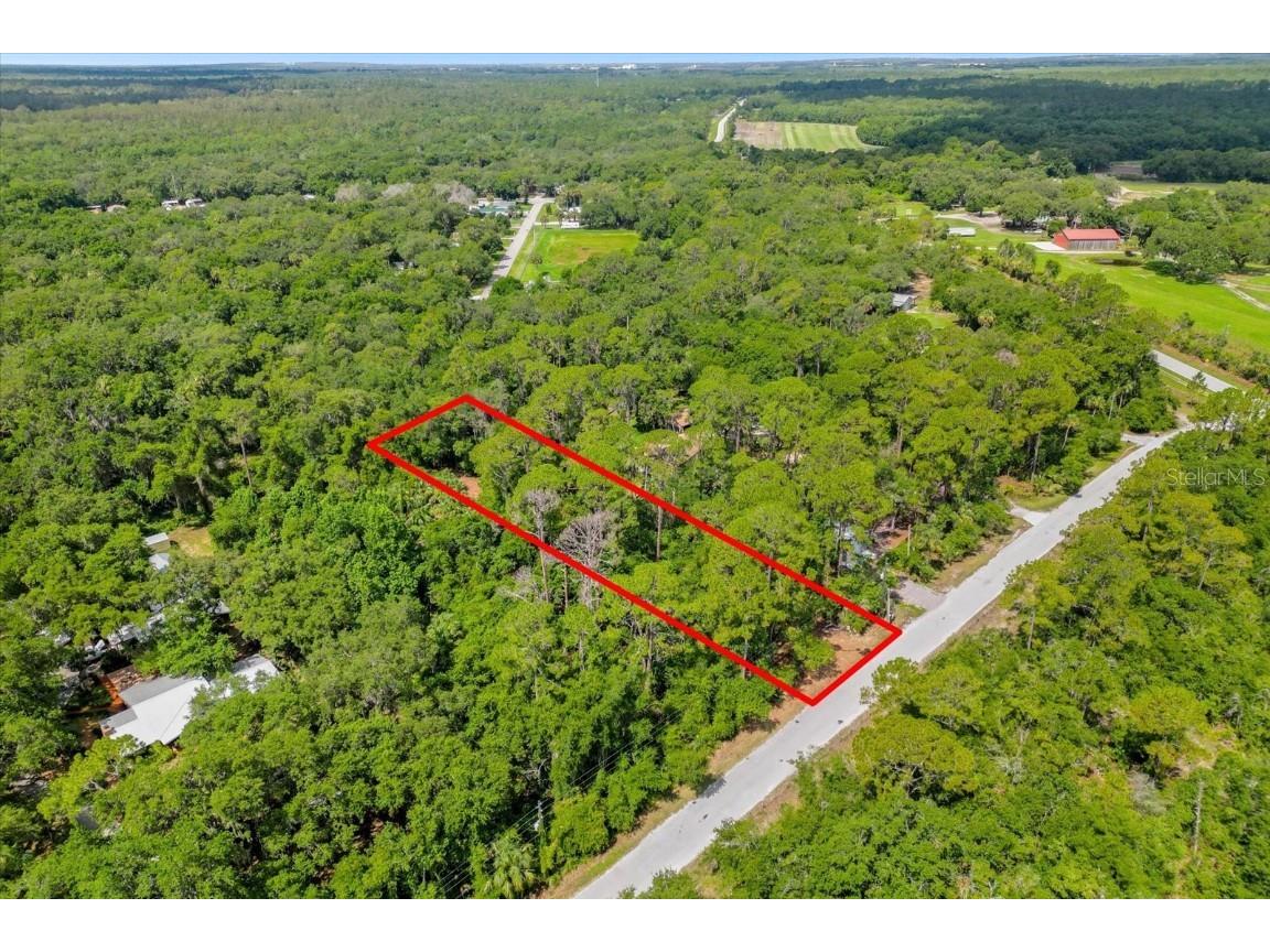 Mar Lisa Cove Road Lake Wales FL 33898 T3452817 image15