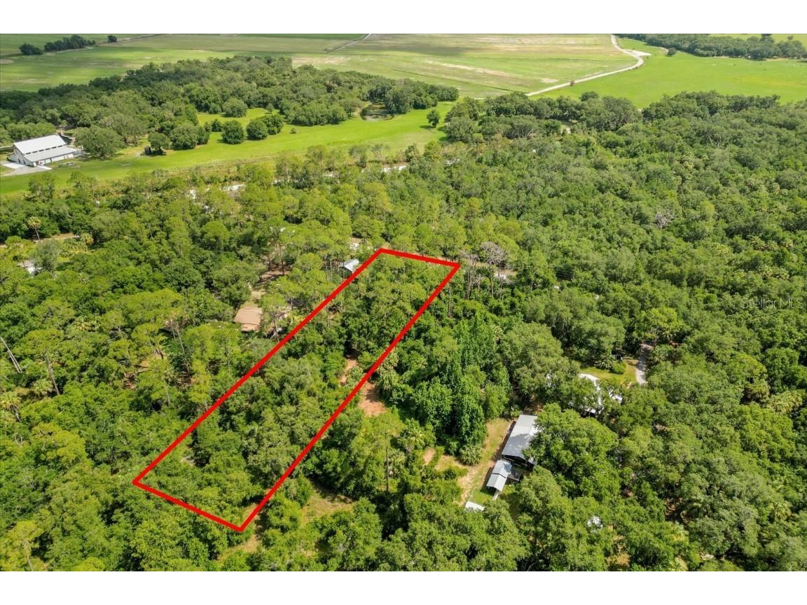 Mar Lisa Cove Road Lake Wales FL 33898 T3452817 image16