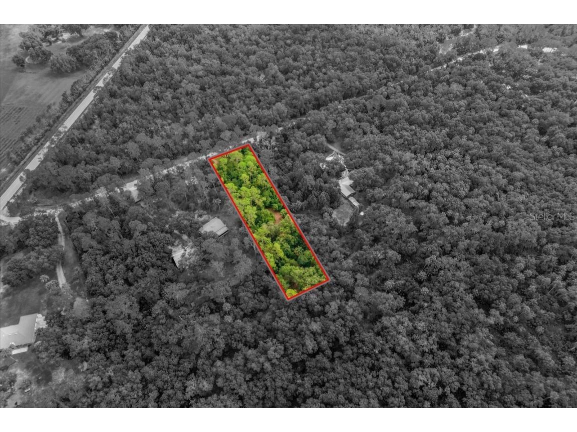 Mar Lisa Cove Road Lake Wales FL 33898 T3452817 image18