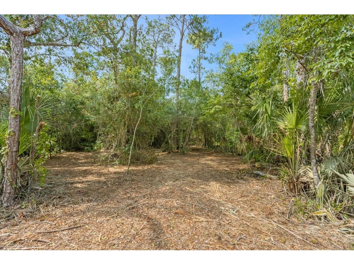 Mar Lisa Cove Road Lake Wales FL 33898 T3452817 image2