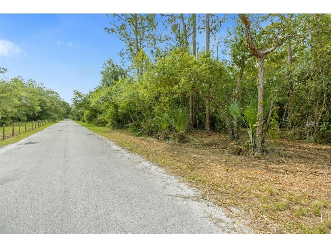 Mar Lisa Cove Road Lake Wales FL 33898 T3452817 image3