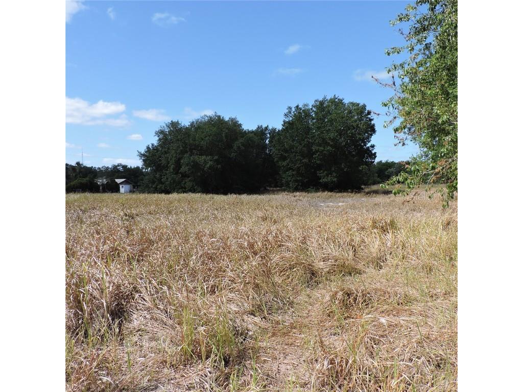 Maricamp Road Ocklawaha FL 32179 O6300590 image10