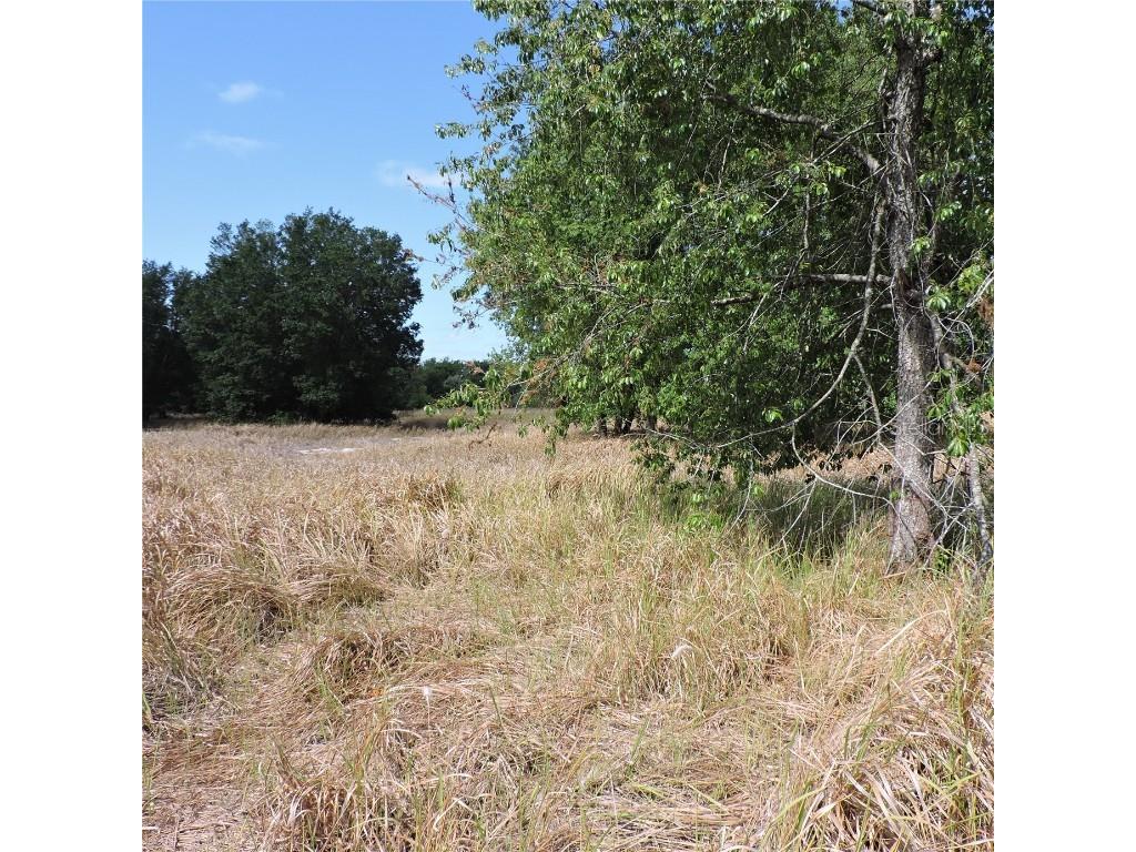 Maricamp Road Ocklawaha FL 32179 O6300590 image11