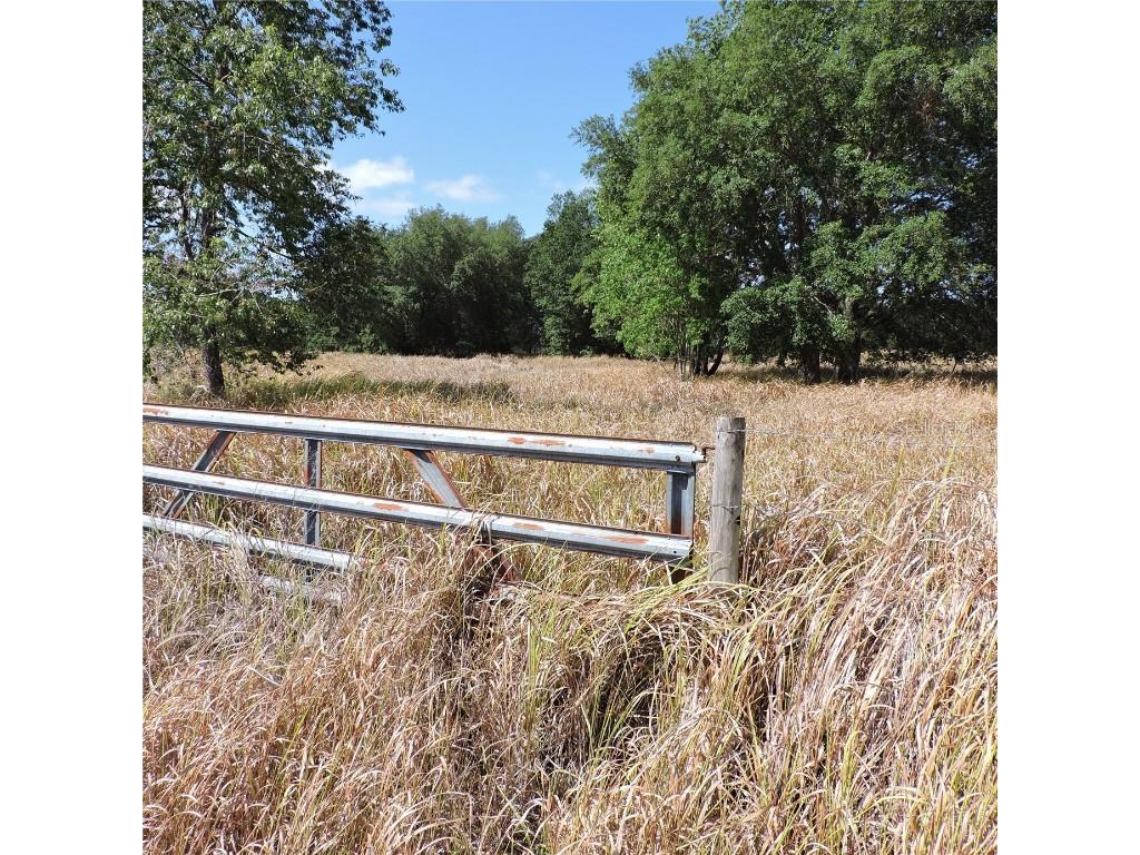 Maricamp Road Ocklawaha FL 32179 O6300590 image12