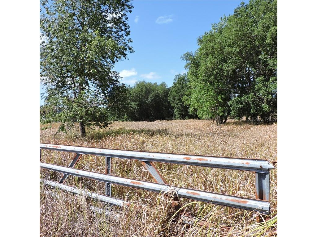 Maricamp Road Ocklawaha FL 32179 O6300590 image13