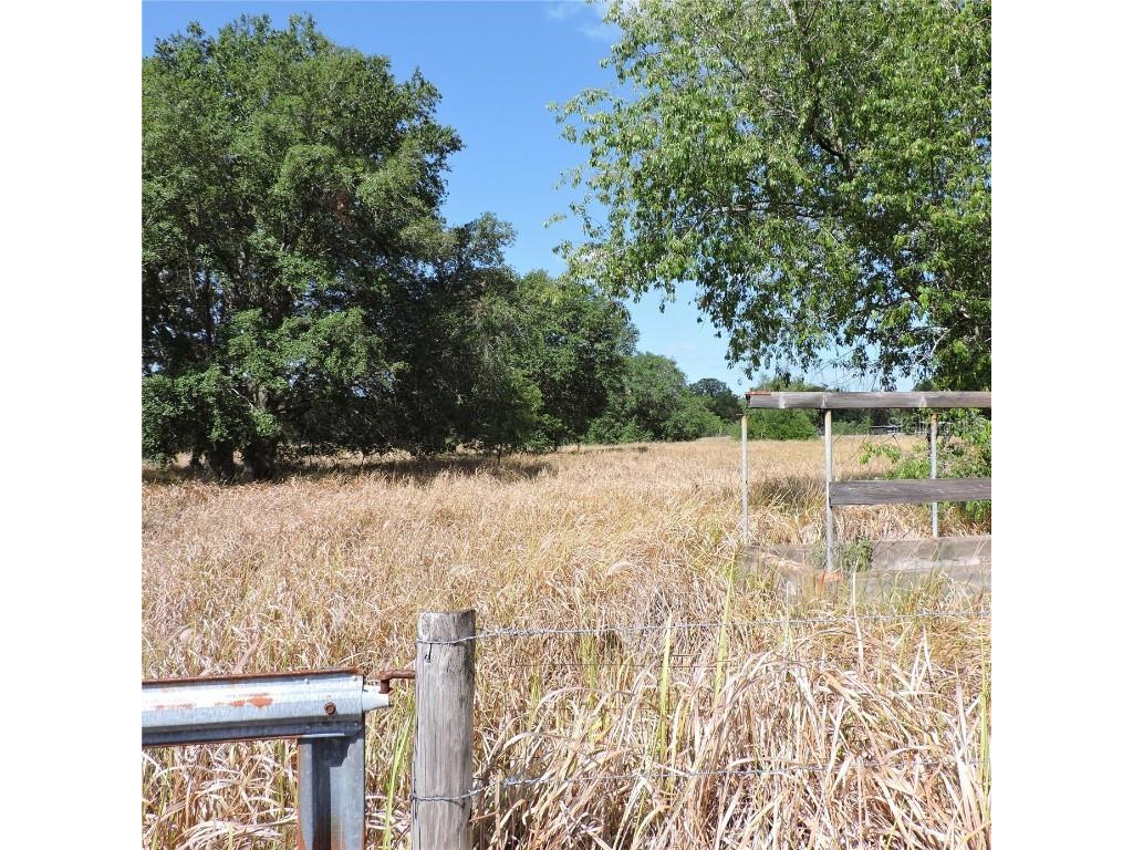 Maricamp Road Ocklawaha FL 32179 O6300590 image14