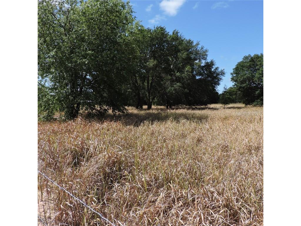 Maricamp Road Ocklawaha FL 32179 O6300590 image15