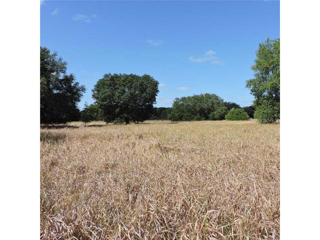 Maricamp Road Ocklawaha FL 32179 O6300590 image16