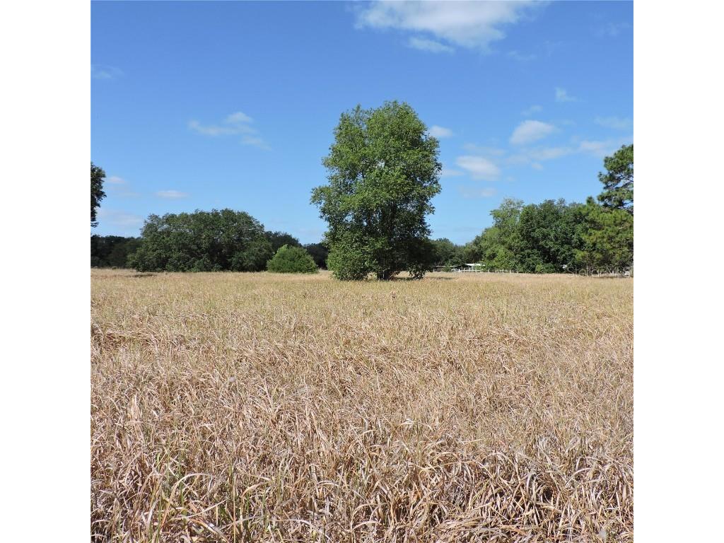 Maricamp Road Ocklawaha FL 32179 O6300590 image17