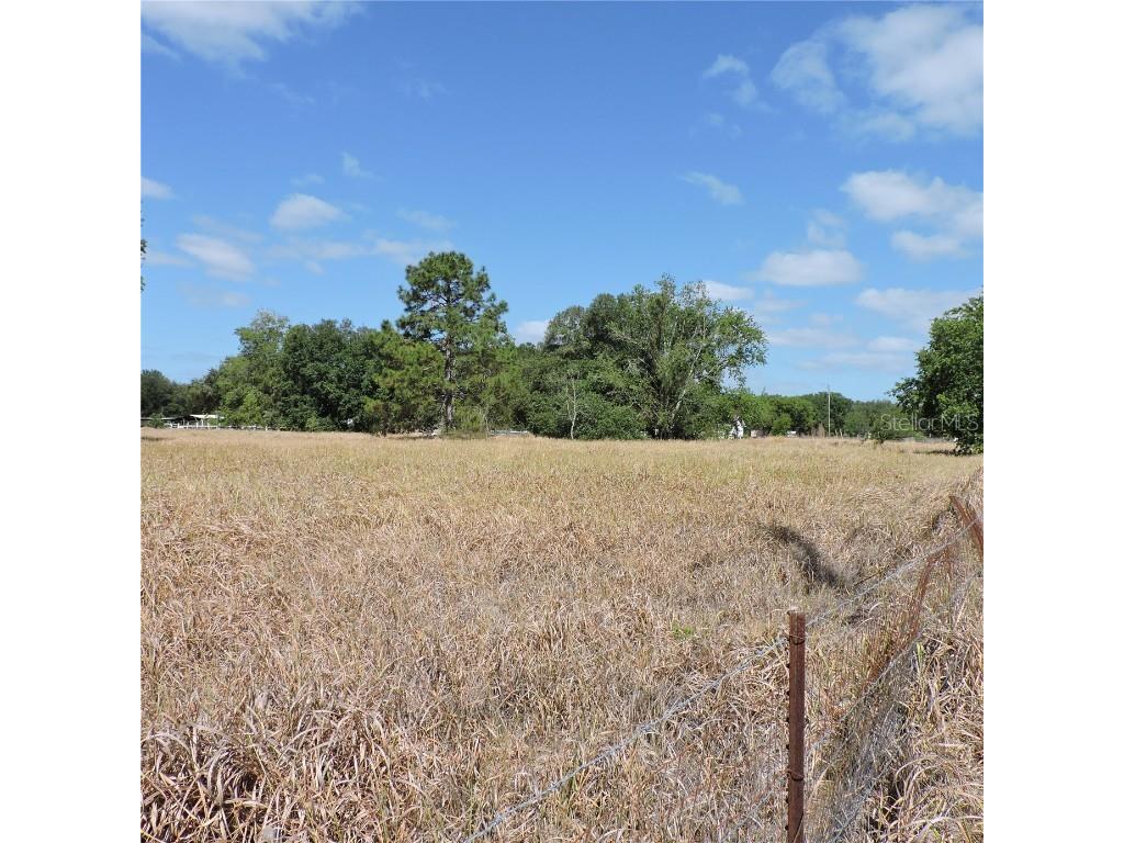 Maricamp Road Ocklawaha FL 32179 O6300590 image18