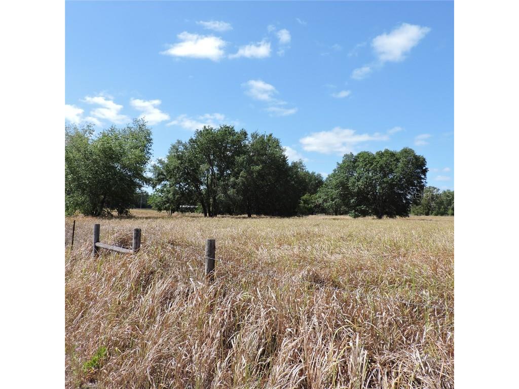 Maricamp Road Ocklawaha FL 32179 O6300590 image19