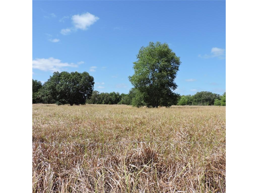 Maricamp Road Ocklawaha FL 32179 O6300590 image20