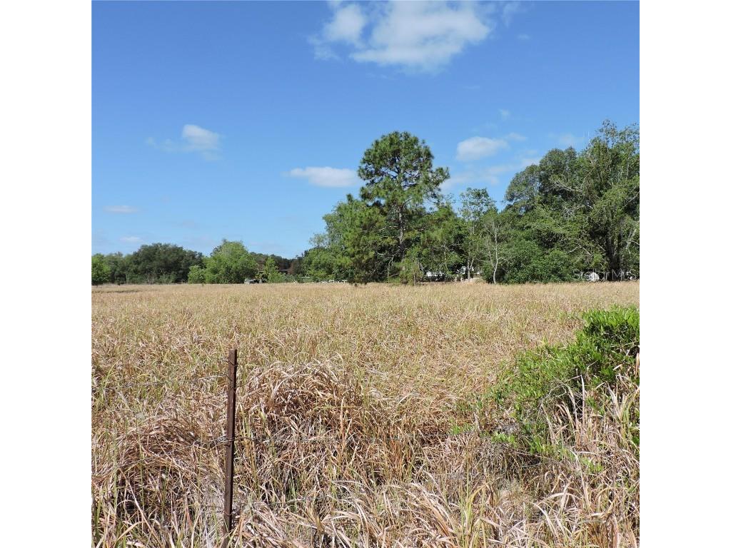 Maricamp Road Ocklawaha FL 32179 O6300590 image21