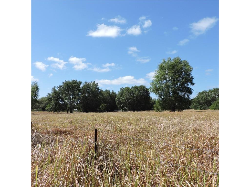 Maricamp Road Ocklawaha FL 32179 O6300590 image22