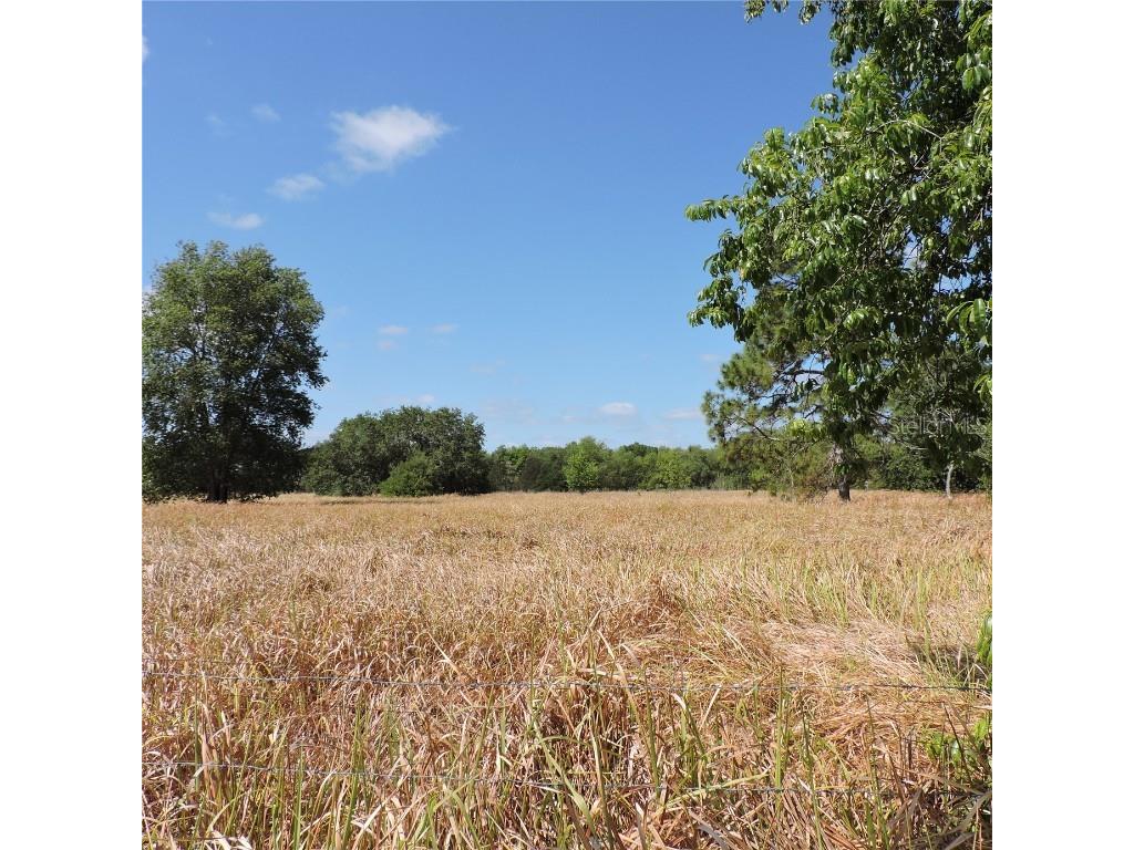 Maricamp Road Ocklawaha FL 32179 O6300590 image23