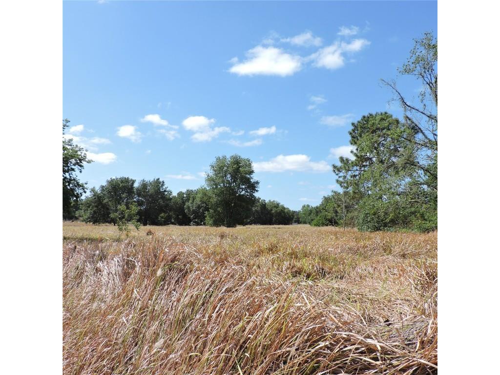 Maricamp Road Ocklawaha FL 32179 O6300590 image24