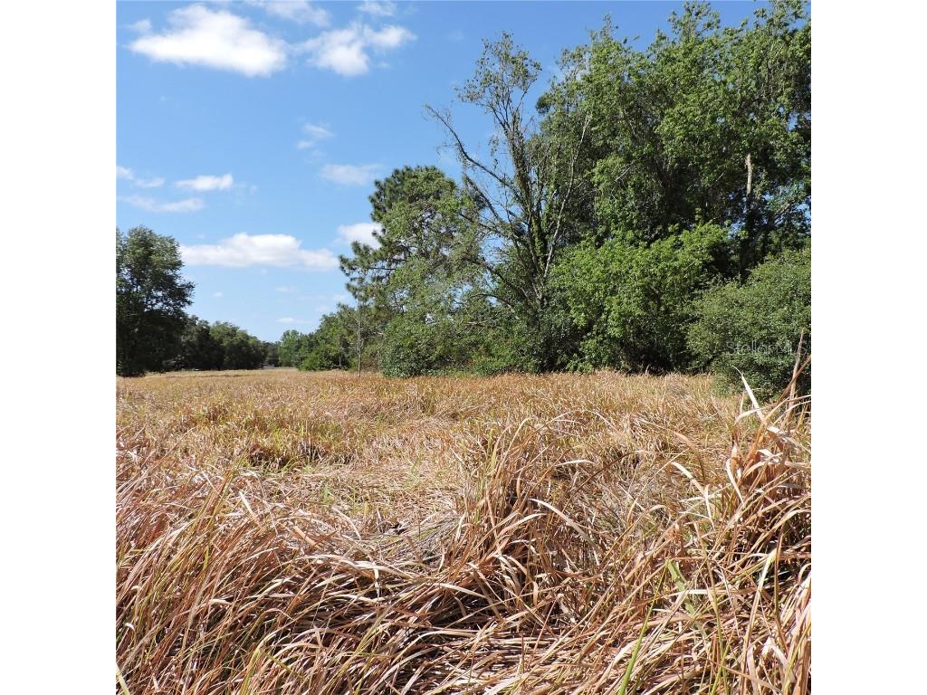 Maricamp Road Ocklawaha FL 32179 O6300590 image25