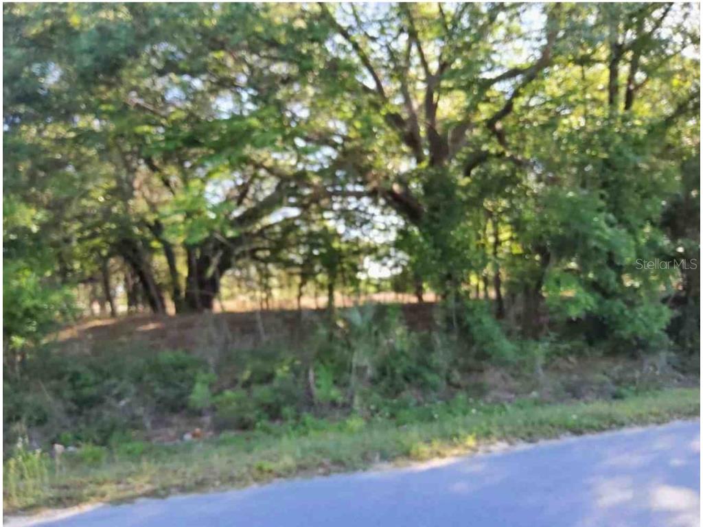 Maricamp Road Ocklawaha FL 32179 O6300590 image4