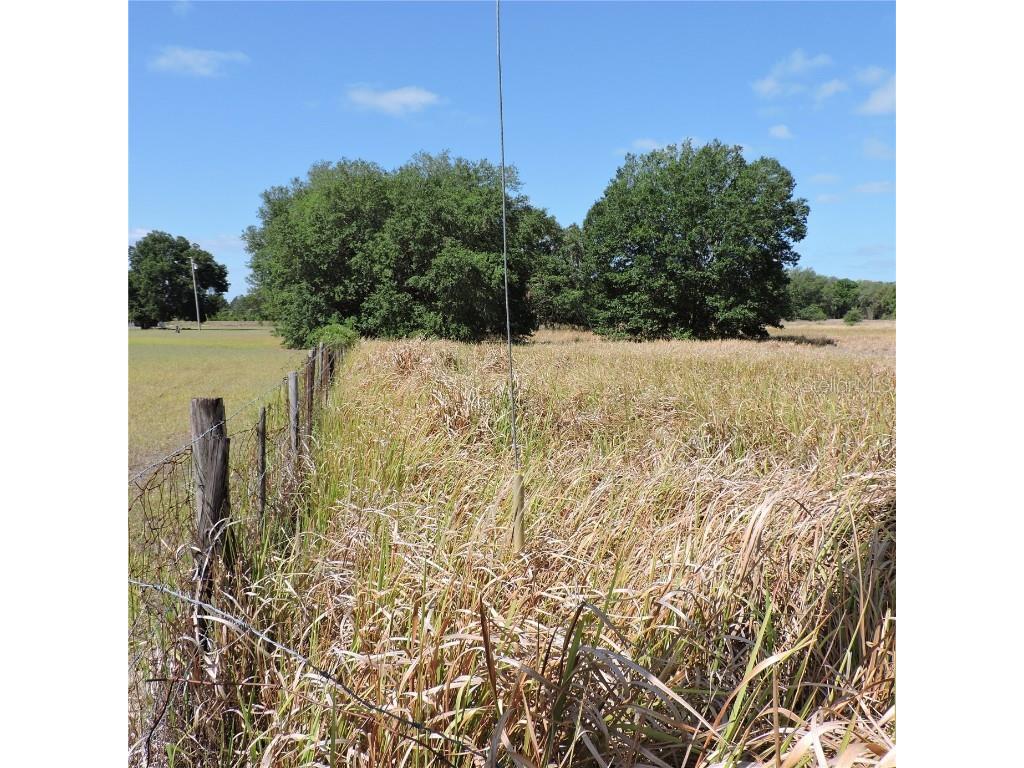 Maricamp Road Ocklawaha FL 32179 O6300590 image7