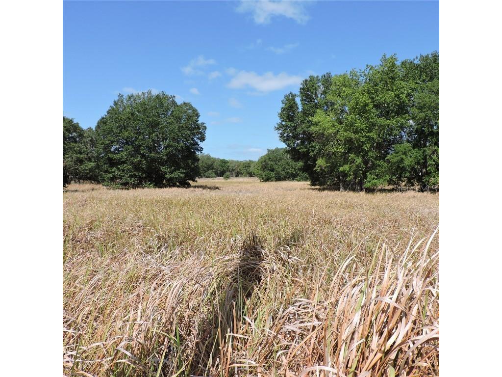 Maricamp Road Ocklawaha FL 32179 O6300590 image8