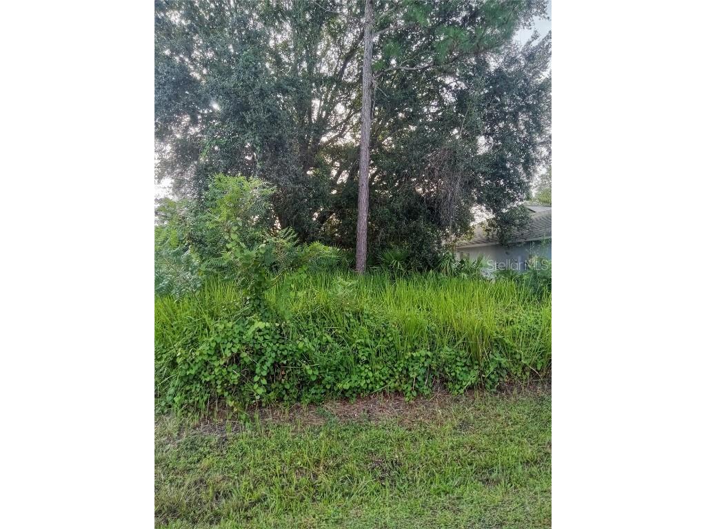 Maricopa Drive Kissimmee FL 34758 S5130912 image1