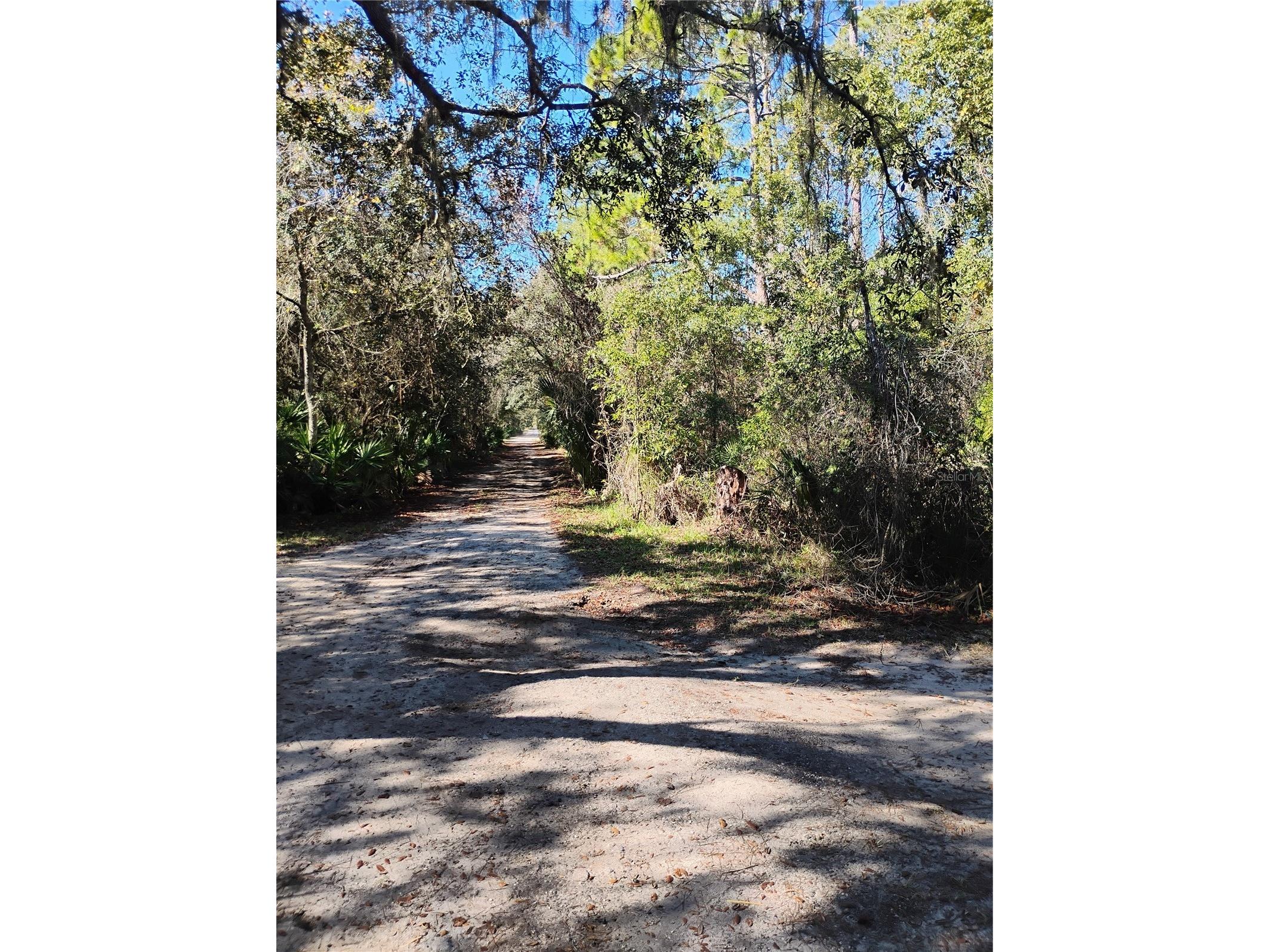 Marie Avenue Deland FL 32720 OM714355 image3