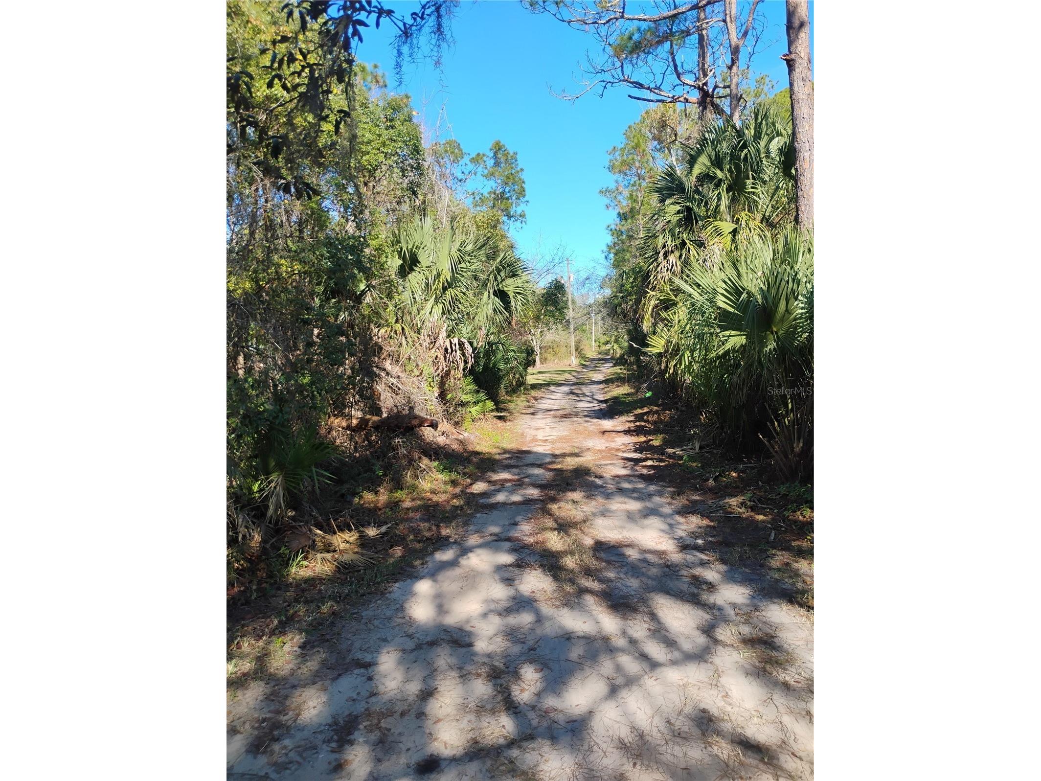 Marie Avenue Deland FL 32720 OM714355 image4