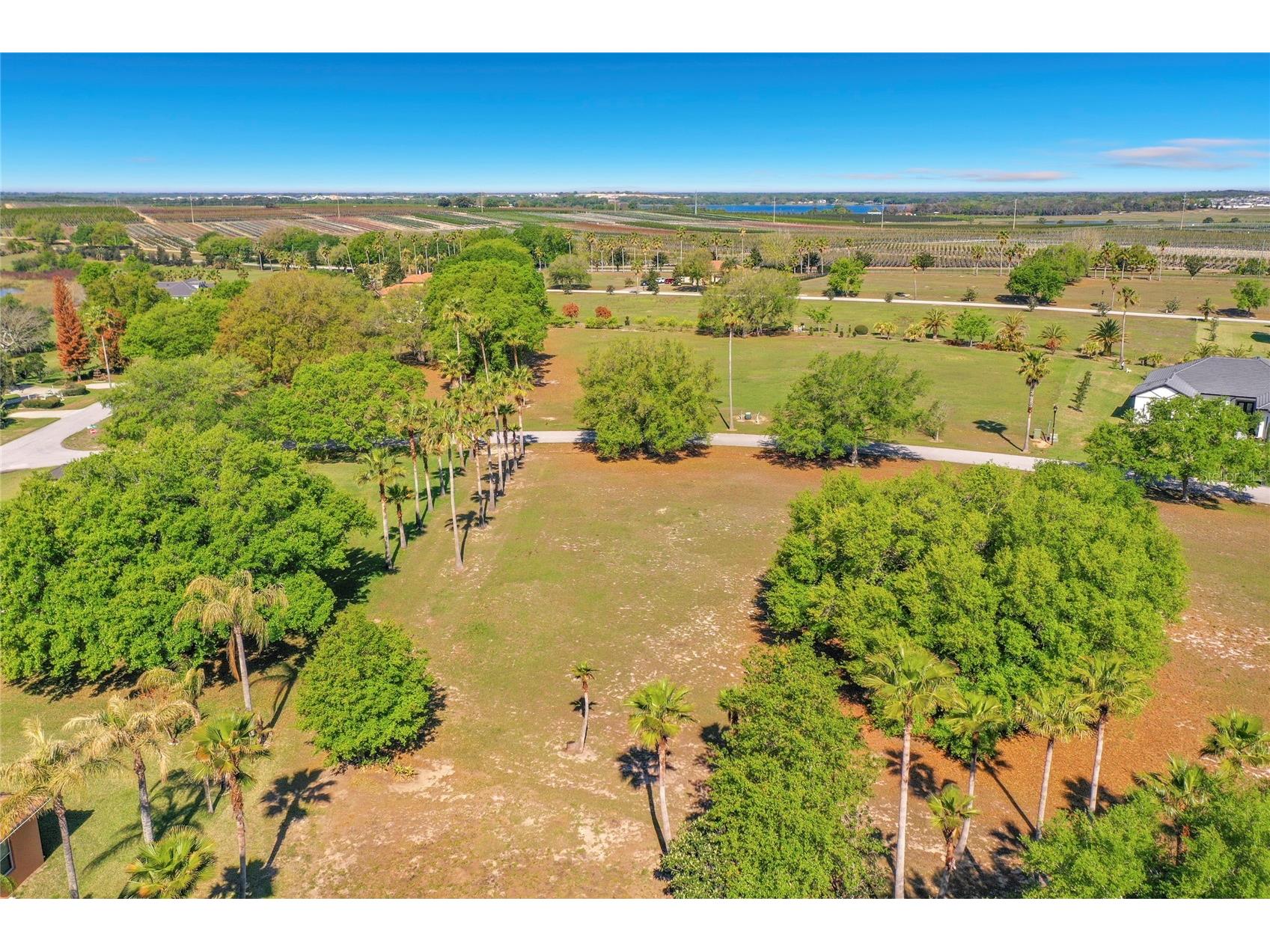 Marigold Street Groveland FL 34736 G5109947 image14