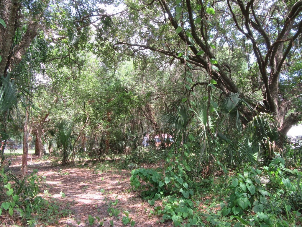 Marina Parkway N Lake Wales FL 33898 K4901808 image1