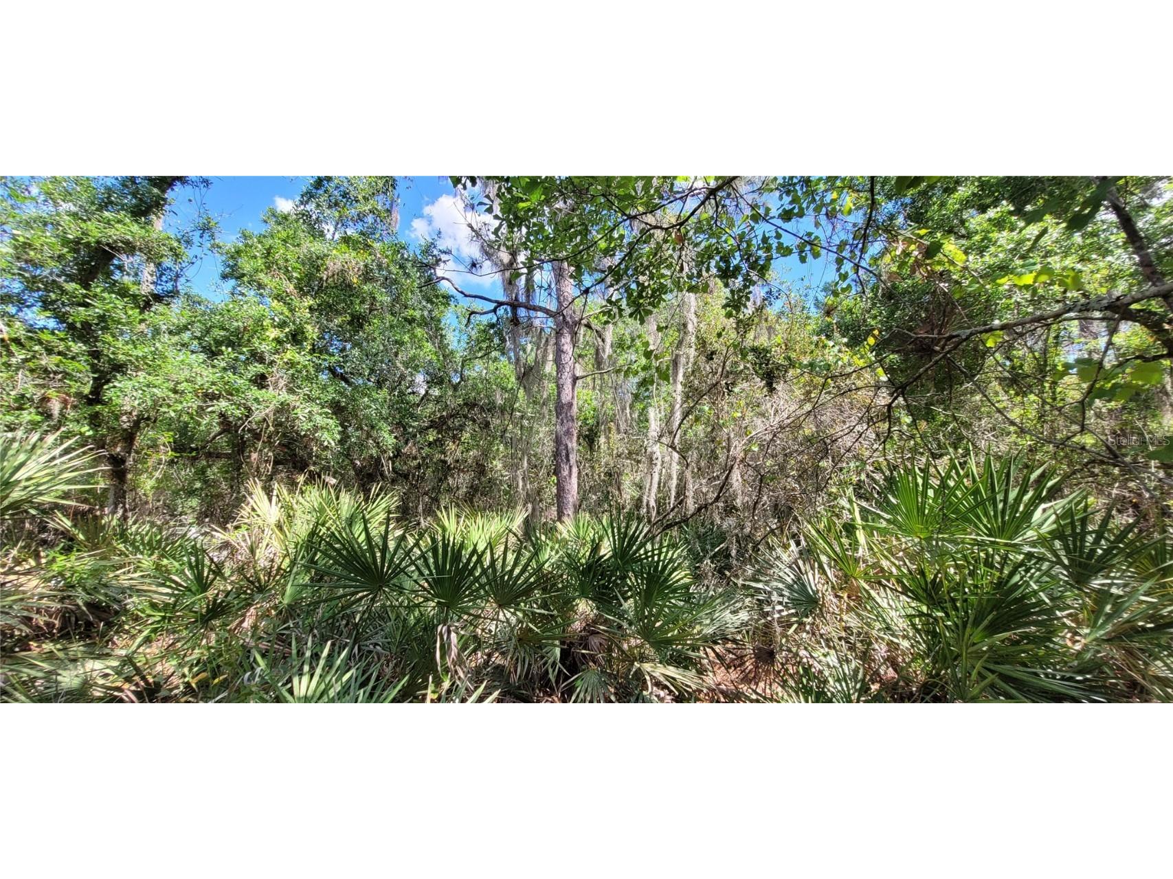 Marina Parkway N Lake Wales FL 33898 T3437144 image1