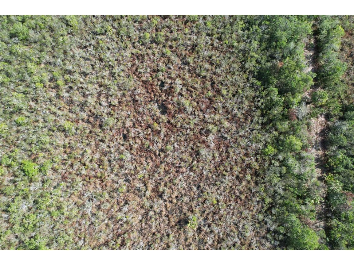 Mario Avenue Cocoa FL 32926 O6001044 image1