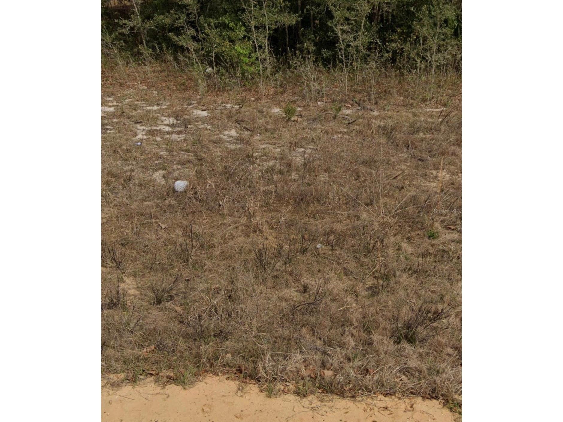 Marion Ave Interlachen FL 32148 A4695616 image3