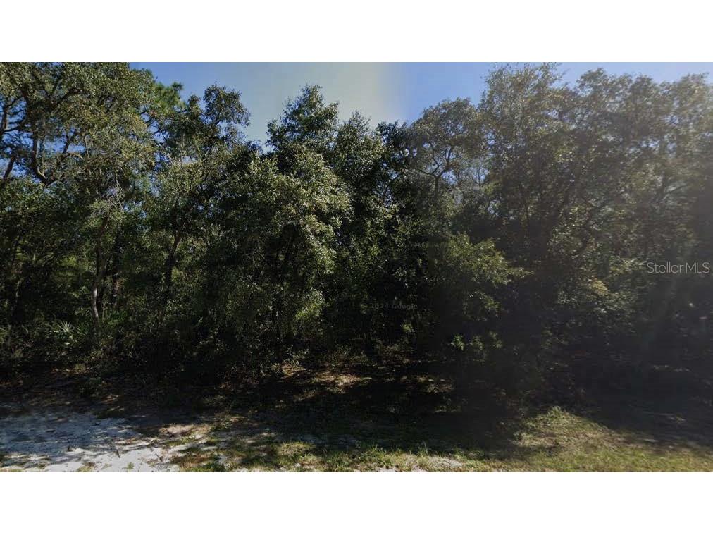 Marion Avenue Interlachen FL 32148 O6346697 image1