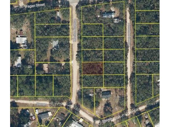 Marion Avenue Interlachen FL 32148 O6346697 image2