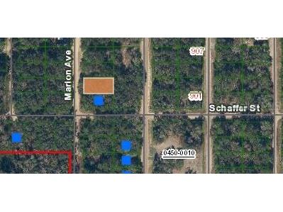 Marion Avenue Interlachen FL 32148 OM696753 image2