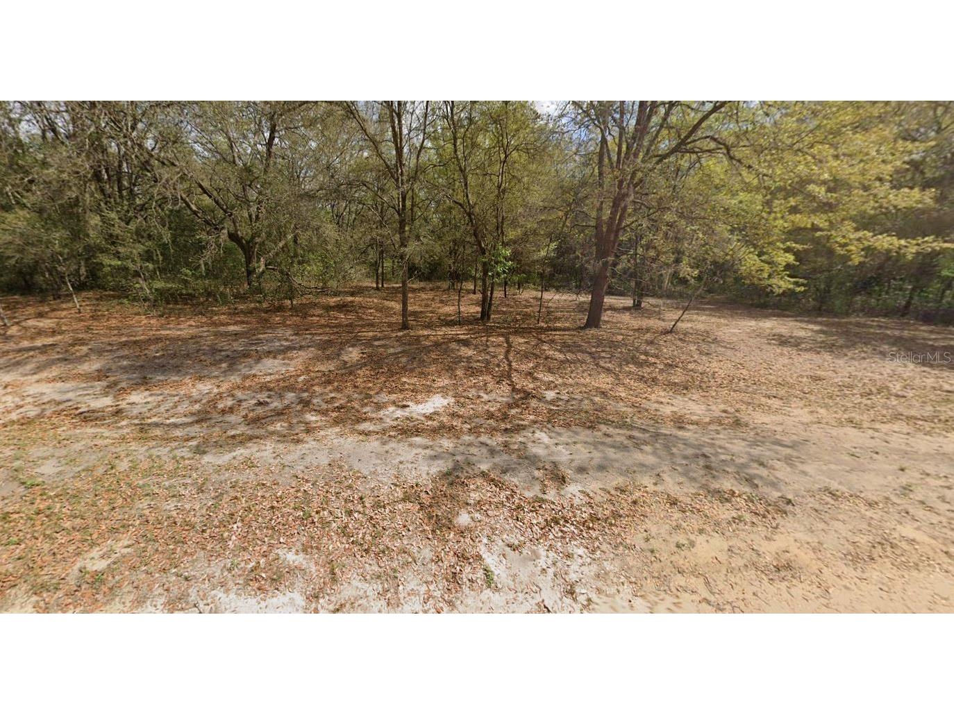 Marion Avenue Interlachen FL 32148 OM696753 image4