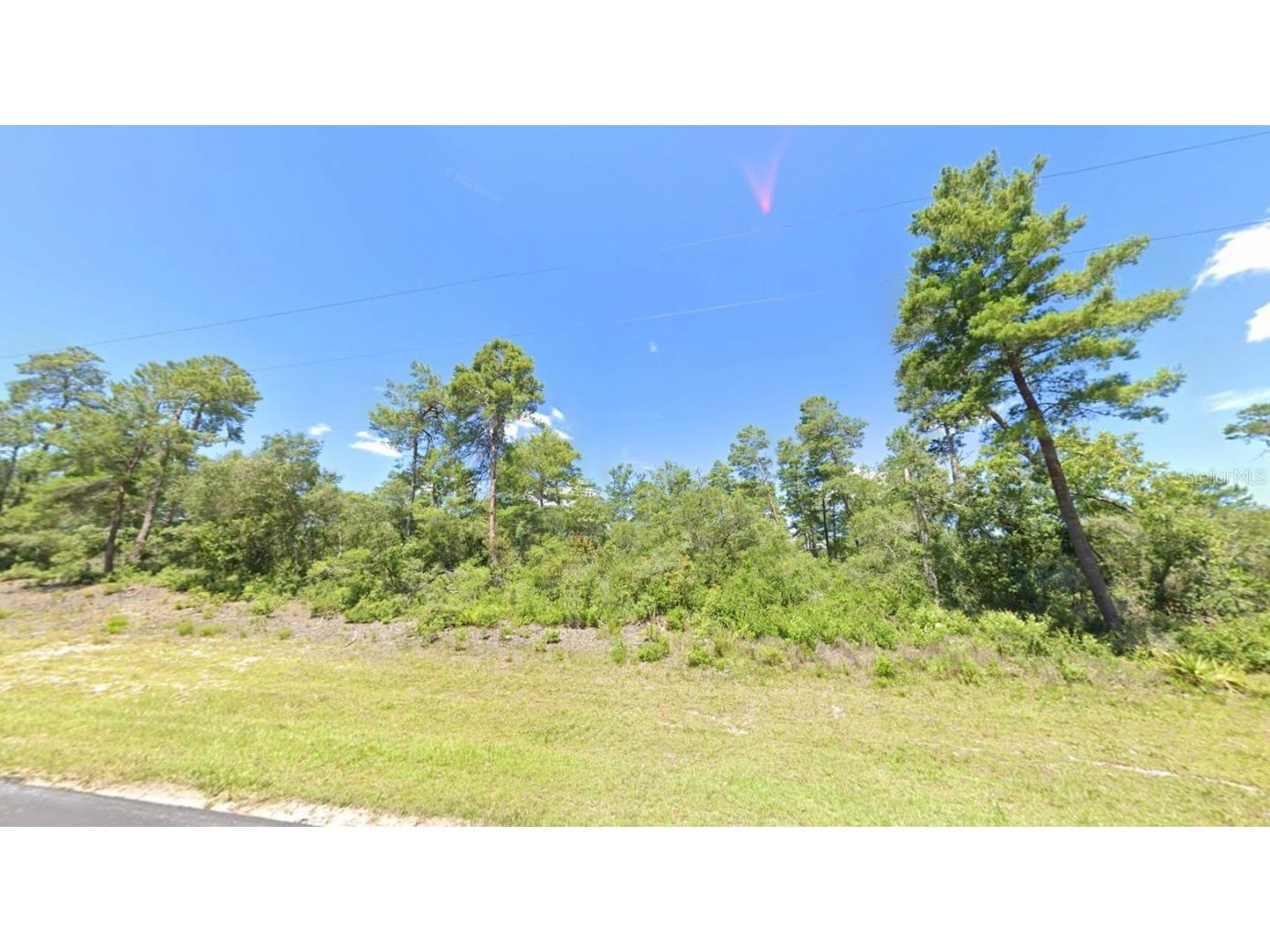 Marion Oak Ocala FL 34473 O6360609 image3