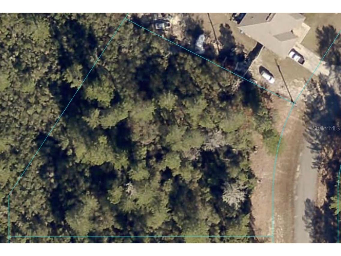 Marion Oak Ocala FL 34473 O6360609 image4