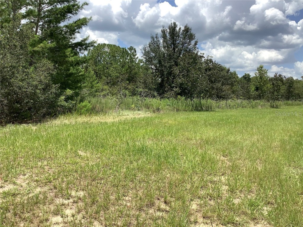 Marion Oaks Blvd Ocala FL 34473 OM705920 image11