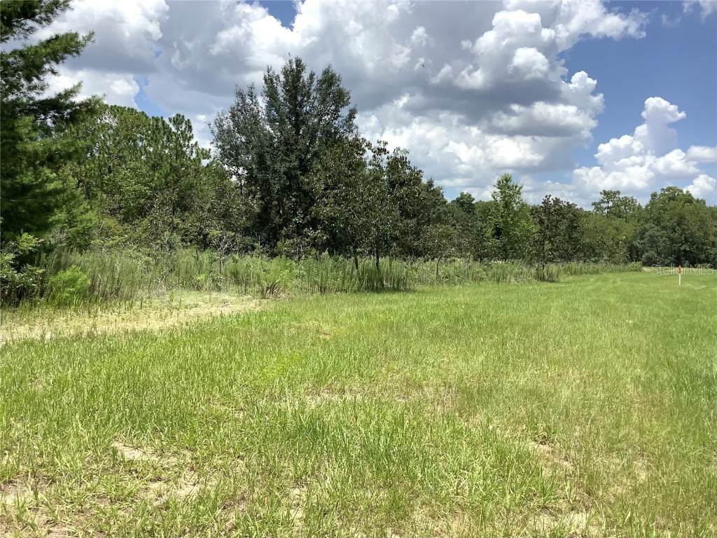 Marion Oaks Blvd Ocala FL 34473 OM705920 image4