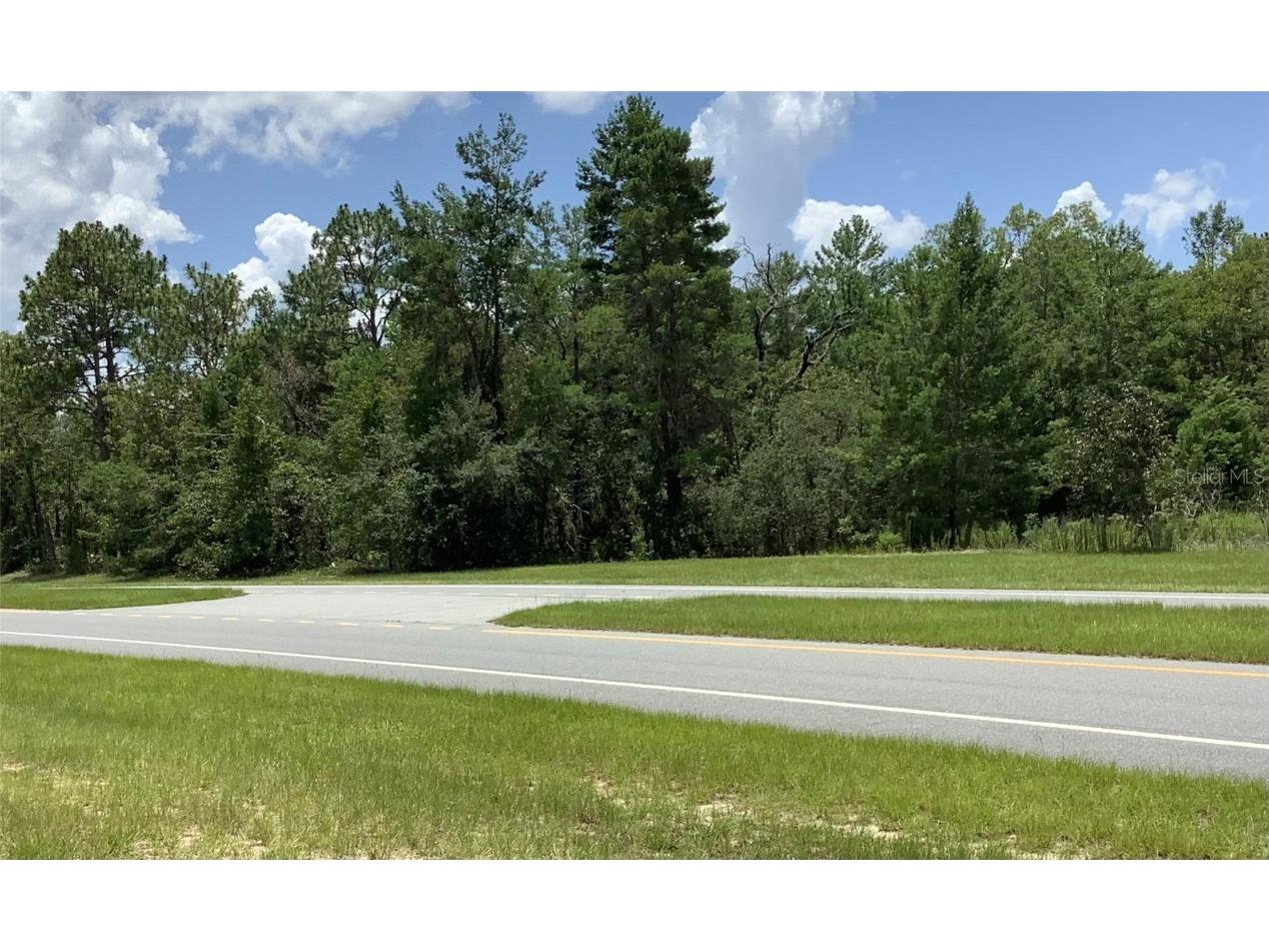Marion Oaks Blvd Ocala FL 34473 OM705920 image9