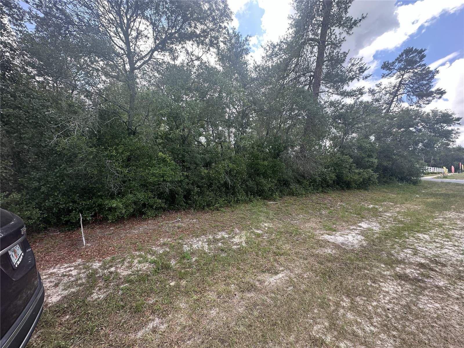 Marion Oaks Boulevard Ocala FL 34473 OM726323 image6