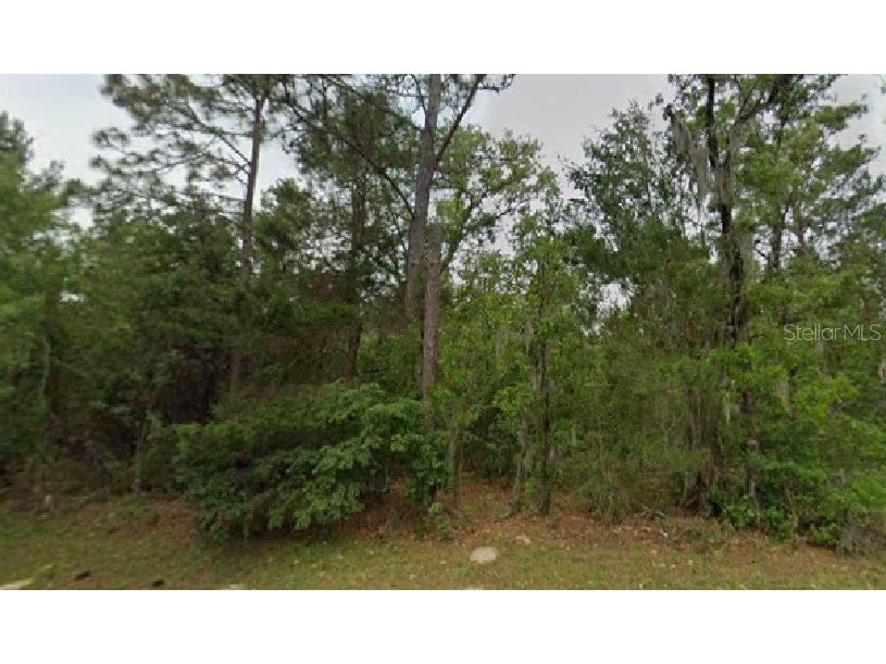 Marion Oaks Boulevard Ocala FL 34473 R4910960 image1