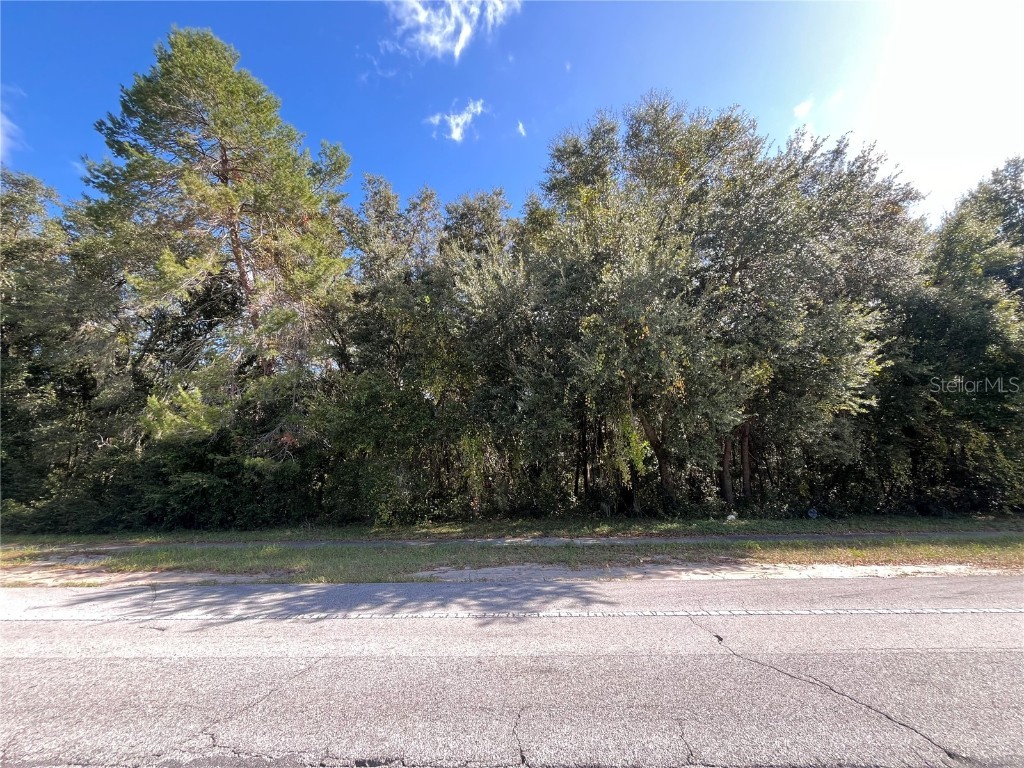 Marion Oaks Course Ocala FL 34473 OK224590 image1