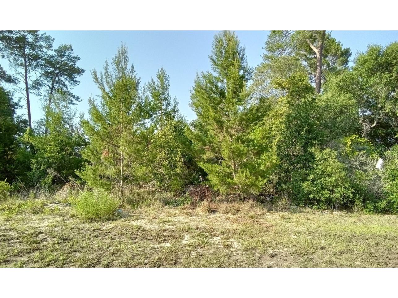 Marion Oaks Golf Road Ocala FL 34473 OM681890 image1