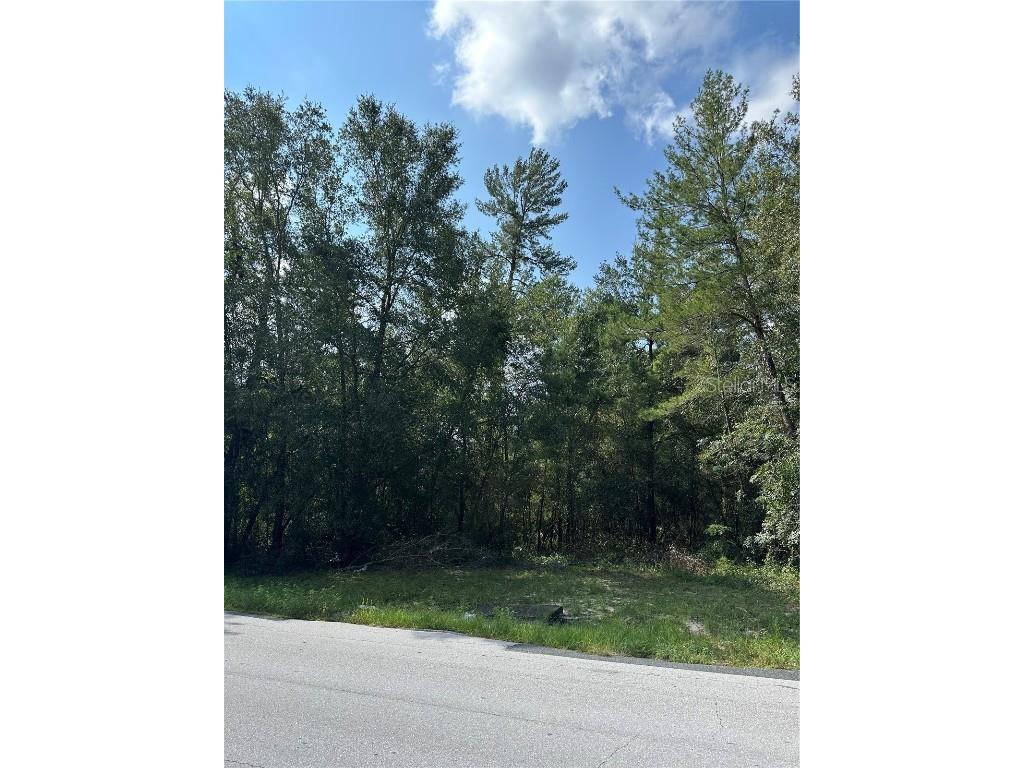 Marion Oaks Lane Ocala FL 34473 J967178 image1