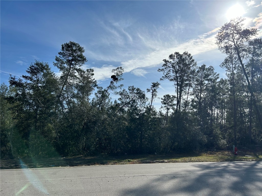 Marion Oaks Lane Ocala FL 34473 O6171762 image1