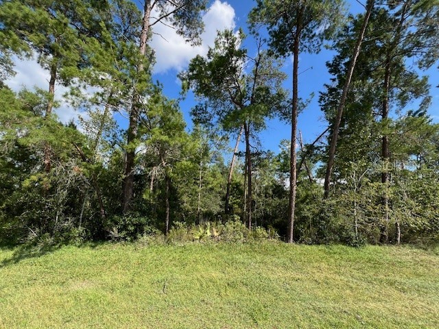 Marion Oaks Lane Ocala FL 34473 U8253211 image1
