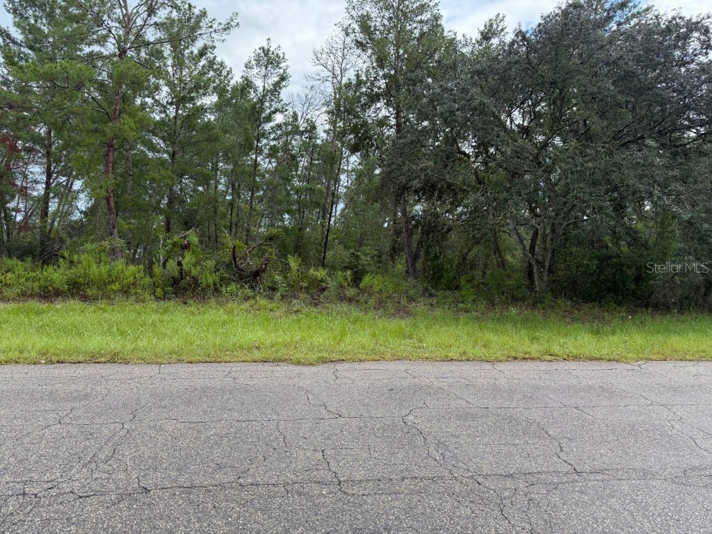 Marion Oaks Lane Ocala FL 34473 A4665141 image6